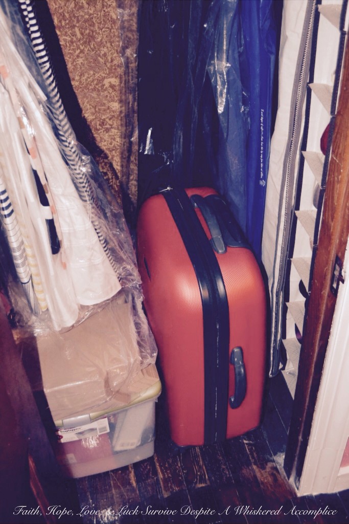 "Grandma's Room" Closet Revamp | Faith, Hope, Love, and Luck Survive Despite a Whiskered Accomplice