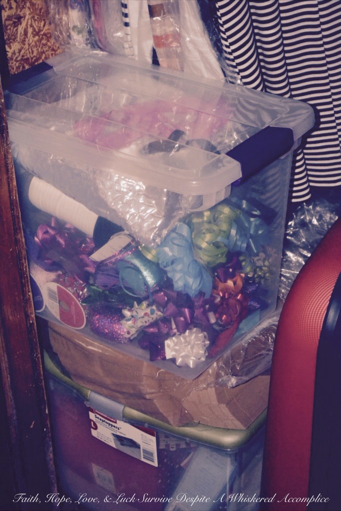 "Grandma's Room" Closet Revamp | Faith, Hope, Love, and Luck Survive Despite a Whiskered Accomplice