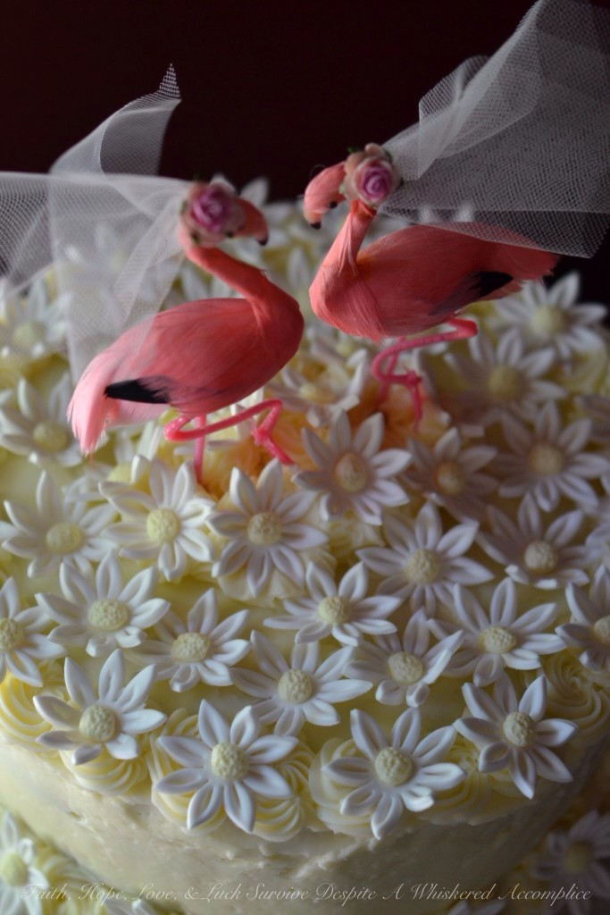 Raspberry Lemon Cake with Italian Buttercream | Faith, Hope, Love, and Luck Survive Despite a Whiskered Accomplice