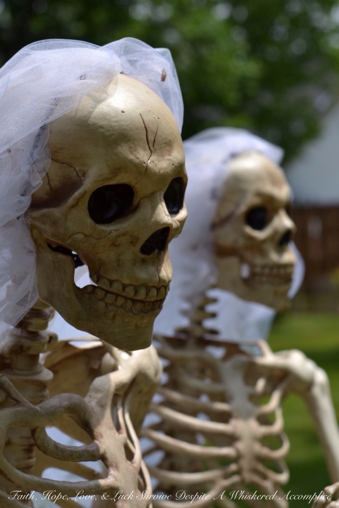 Special Wedding Guests | Faith, Hope, Love, and Luck Survive Despite a Whiskered Accomplice