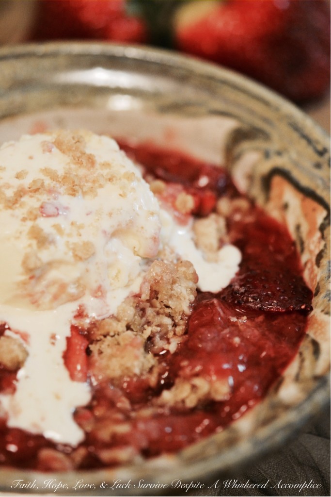 Strawberry Vanilla Oat Crumble | Faith, Hope, Love, and Luck Survive Despite a Whiskered Accomplice