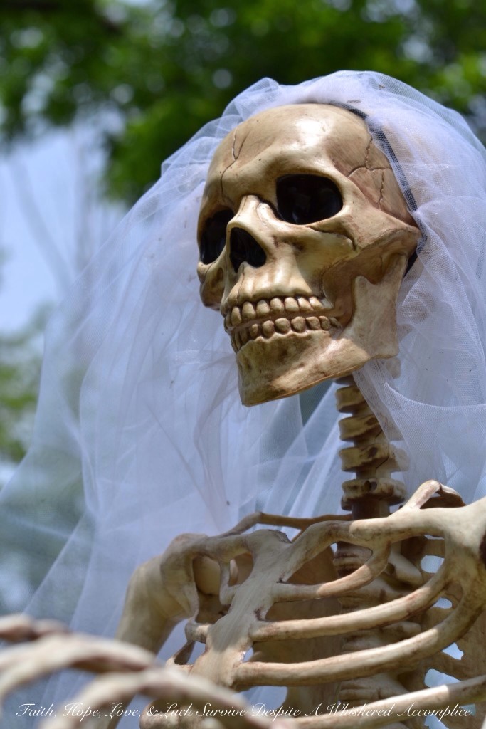 Special Wedding Guests | Faith, Hope, Love, and Luck Survive Despite a Whiskered Accomplice