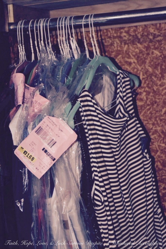 "Grandma's Room" Closet Revamp | Faith, Hope, Love, and Luck Survive Despite a Whiskered Accomplice