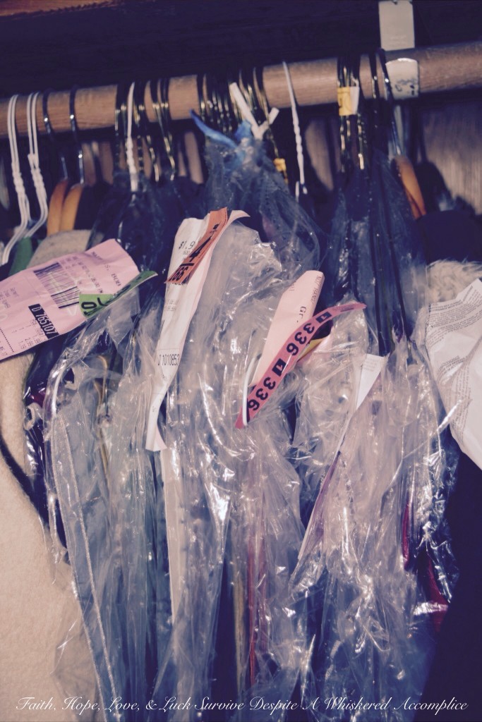 "Grandma's Room" Closet Revamp | Faith, Hope, Love, and Luck Survive Despite a Whiskered Accomplice