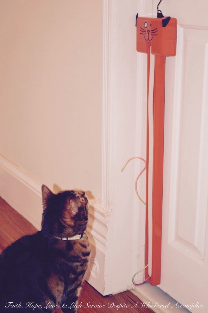 "Grandma's Room" Closet Revamp | Faith, Hope, Love, and Luck Survive Despite a Whiskered Accomplice