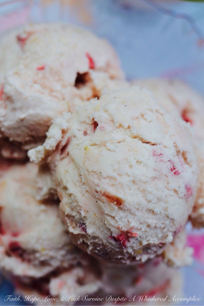 Strawberry-Rhubarb Cheesecake Ice Cream - When you have a jar of strawberry-rhubarb preserves on hand, you definitely need to make this cheesecake ice cream. The addition of lemon gives this fruity ice cream a nice tangy flavor and the cream cheese adds a decadent creamy texture that really takes this frozen treat to the next level.