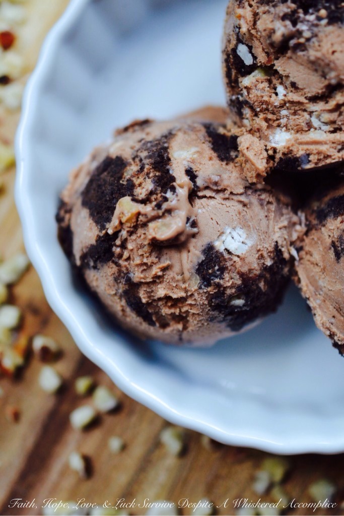 Hazelnut Oreo Ice Cream - Get a little nutty, a little hazelnutty. This hazelnut-loaded ice cream uses both Nutella and chopped hazelnuts to achieve an intense hazelnut flavor. Add in some crushed Oreo cookies, and you've got a nutty chocolate dessert treat that simply can't be resisted.