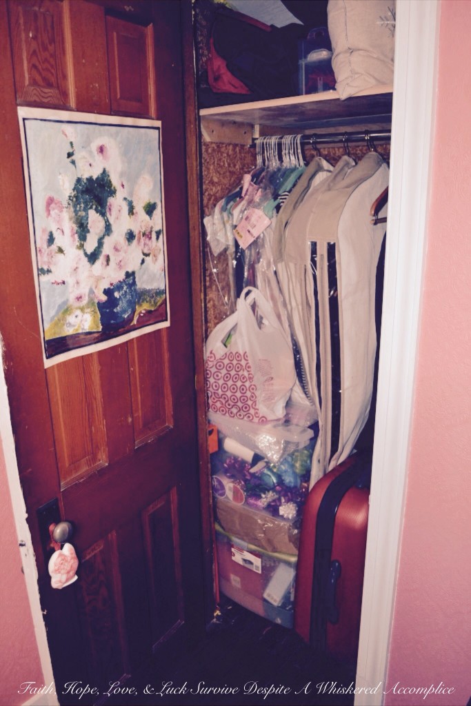 "Grandma's Room" Closet Revamp | Faith, Hope, Love, and Luck Survive Despite a Whiskered Accomplice