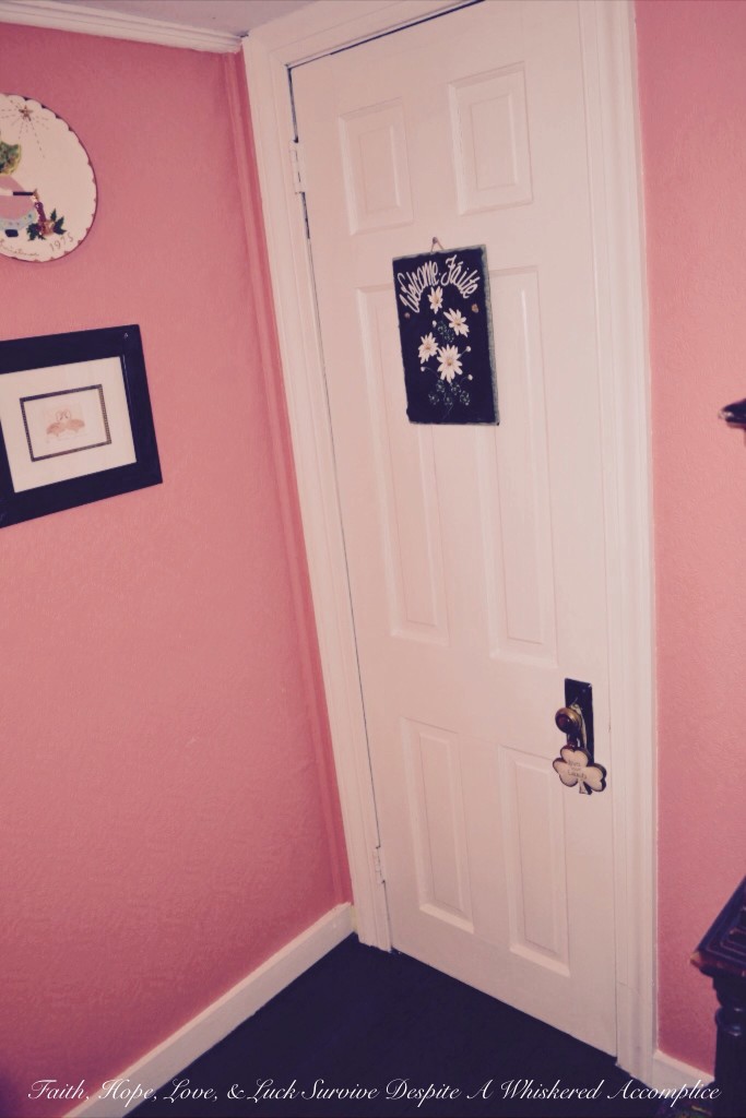 "Grandma's Room" Closet Revamp | Faith, Hope, Love, and Luck Survive Despite a Whiskered Accomplice