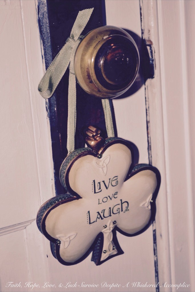 "Grandma's Room" Closet Revamp | Faith, Hope, Love, and Luck Survive Despite a Whiskered Accomplice