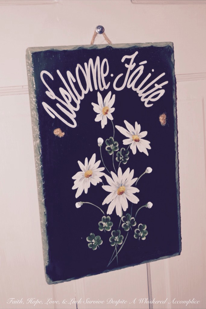 "Grandma's Room" Closet Revamp | Faith, Hope, Love, and Luck Survive Despite a Whiskered Accomplice