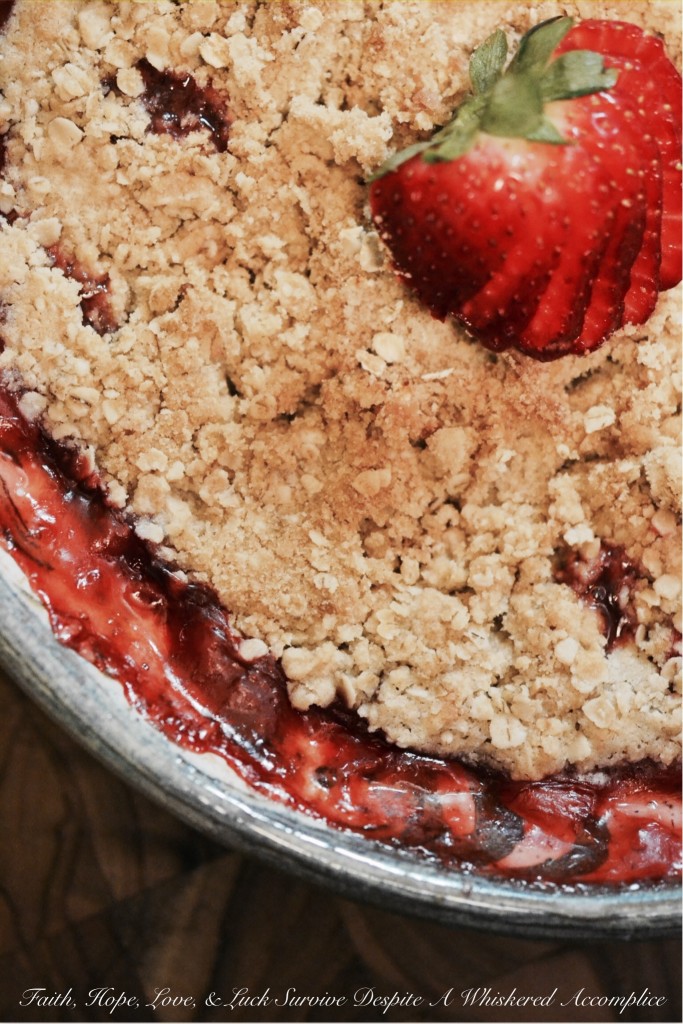 Strawberry Vanilla Oat Crumble | Faith, Hope, Love, and Luck Survive Despite a Whiskered Accomplice