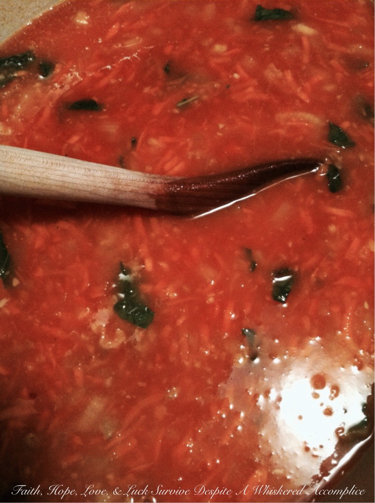 Garden Tomato Sauce with Italian Sausage and Prosciutto | Faith, Hope, Love, and Luck Survive Despite a Whiskered Accomplice