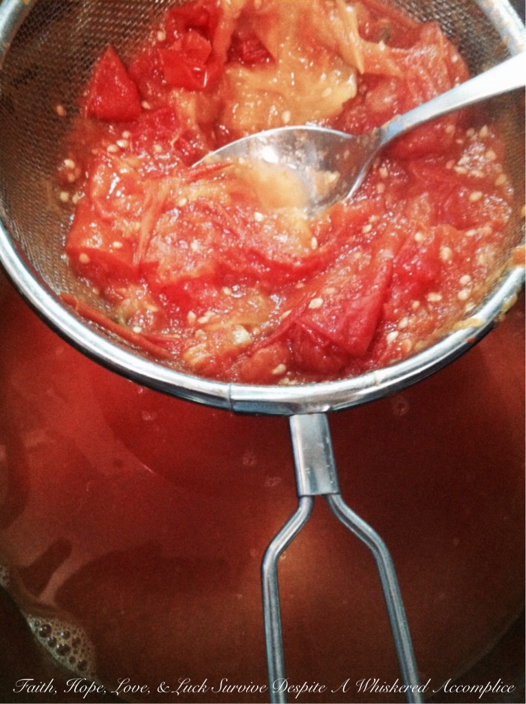 Garden Tomato Sauce with Italian Sausage and Prosciutto | Faith, Hope, Love, and Luck Survive Despite a Whiskered Accomplice
