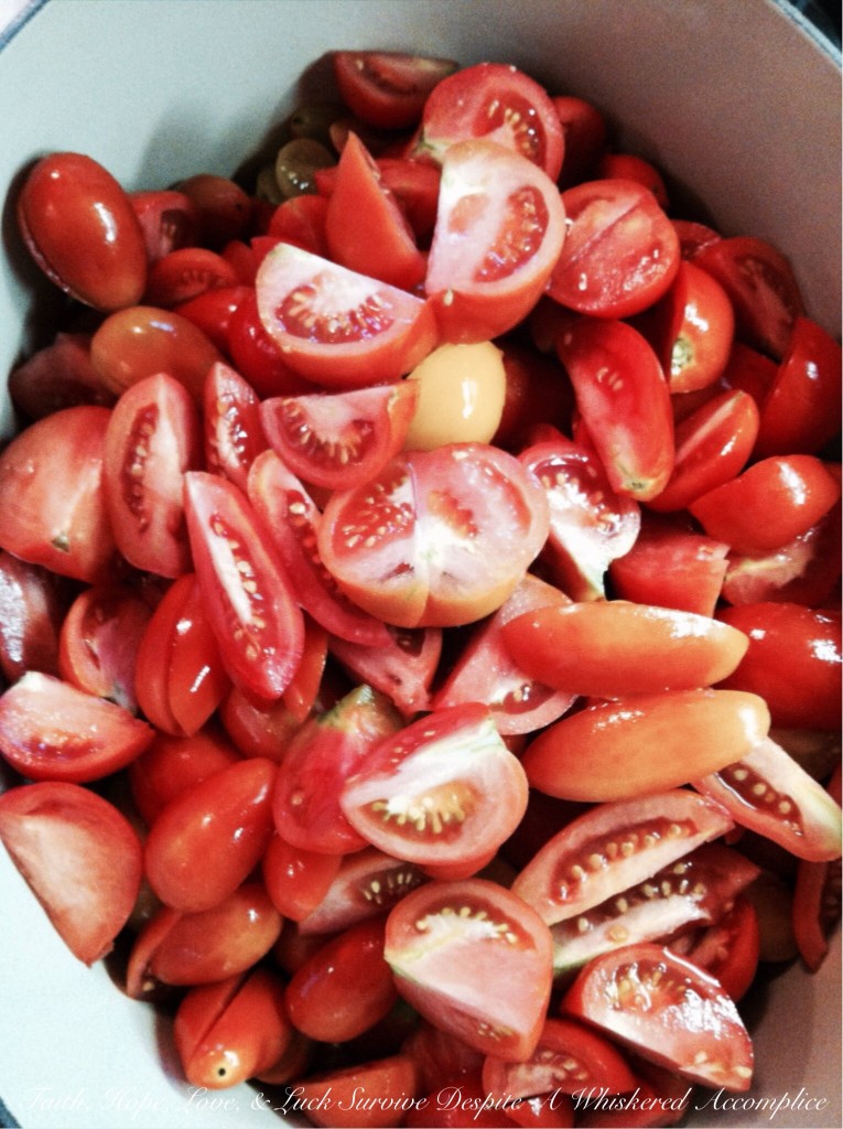 Garden Tomato Sauce with Italian Sausage and Prosciutto | Faith, Hope, Love, and Luck Survive Despite a Whiskered Accomplice