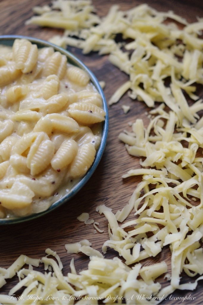Sweet Onion Mac and Cheese | Faith, Hope, Love, and Luck Survive Despite a Whiskered Accomplice