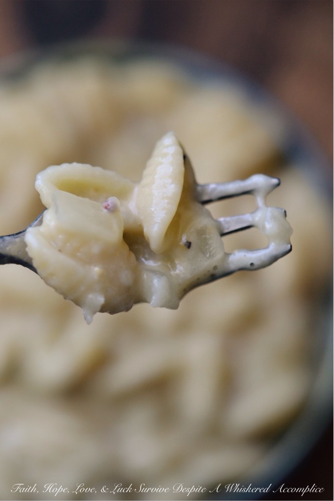 Sweet Onion Mac and Cheese | Faith, Hope, Love, and Luck Survive Despite a Whiskered Accomplice