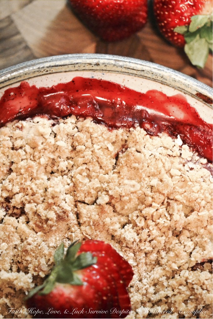 Strawberry Vanilla Oat Crumble | Faith, Hope, Love, and Luck Survive Despite a Whiskered Accomplice