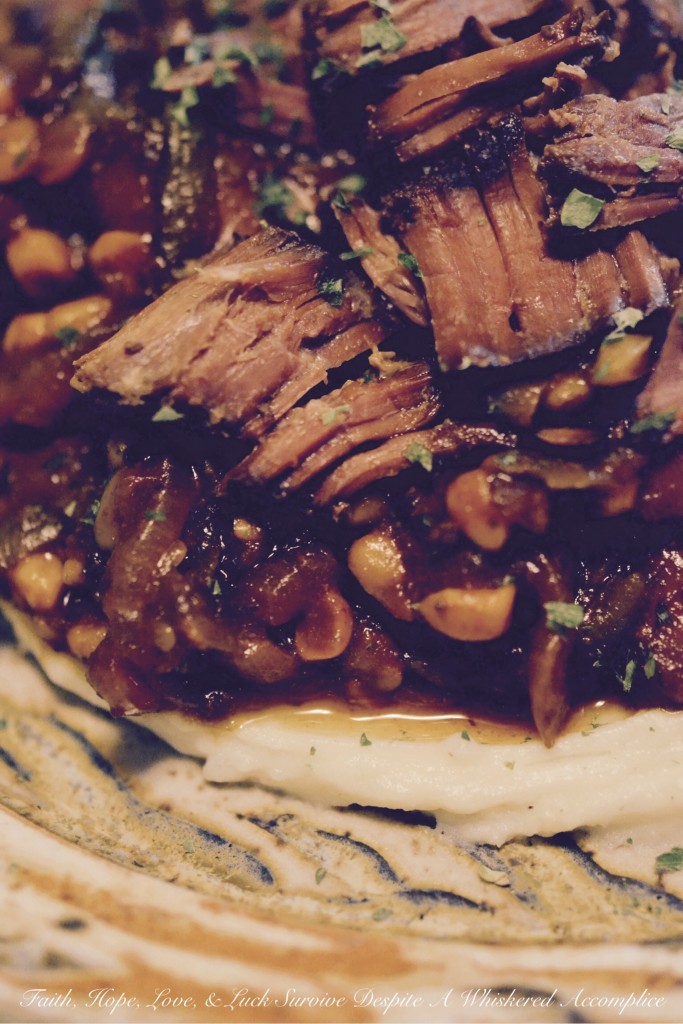 "Dump It All In" Crockpot Sirloin | Faith, Hope, Love, and Luck Survive Despite a Whiskered Accomplice
