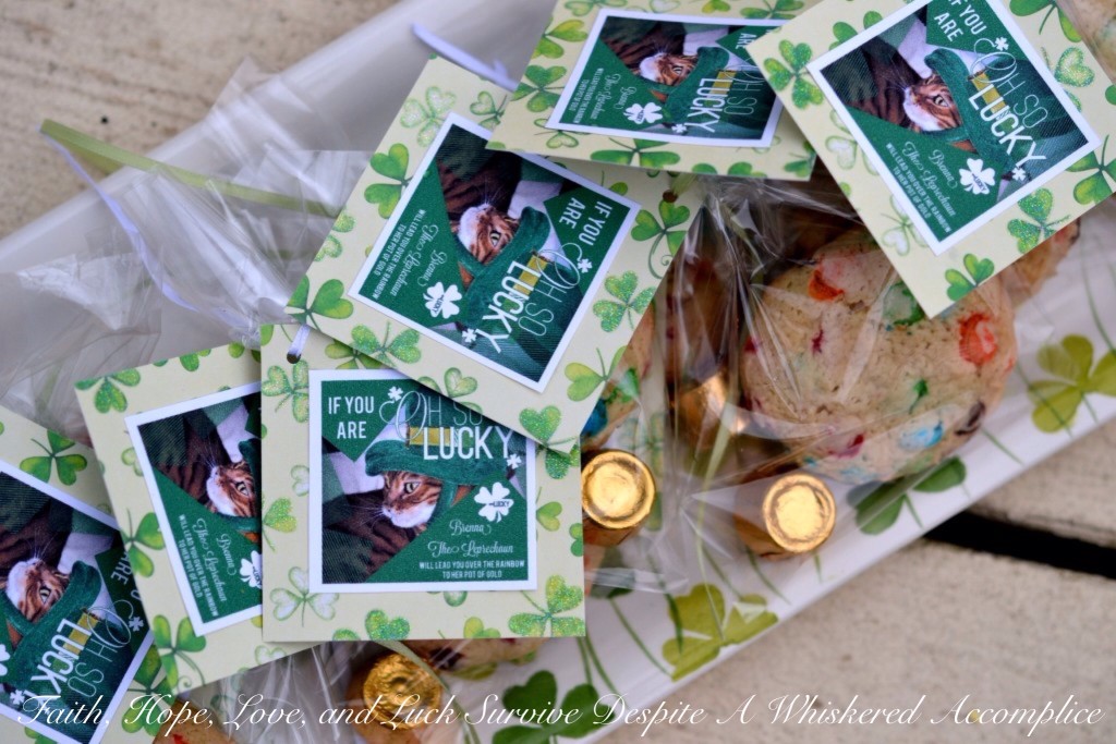 Rainbows and Pots of Gold | Faith, Hope, Love, and Luck Survive Despite a Whiskered Accomplice