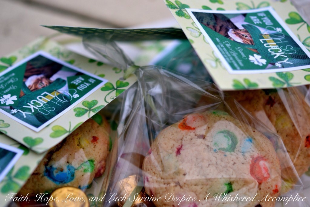 Rainbows and Pots of Gold | Faith, Hope, Love, and Luck Survive Despite a Whiskered Accomplice