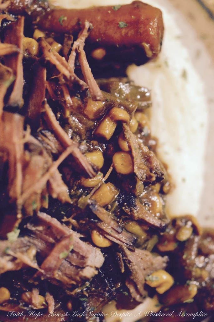 "Dump It All In" Crockpot Sirloin | Faith, Hope, Love, and Luck Survive Despite a Whiskered Accomplice