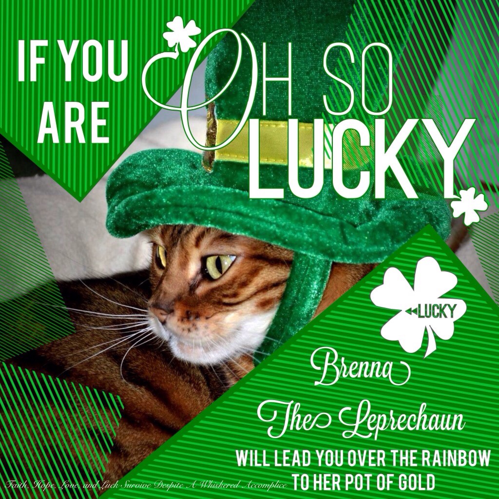 Rainbows and Pots of Gold | Faith, Hope, Love, and Luck Survive Despite a Whiskered Accomplice