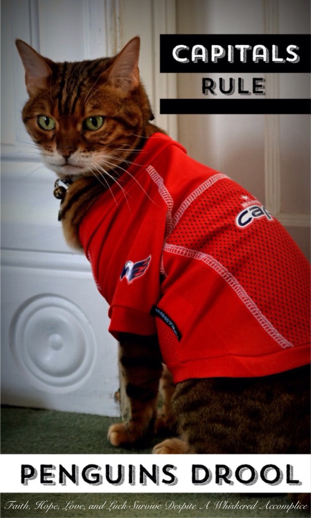 Capitals Rule Penguins Drool | Faith, Hope, Love, and Luck Survive Despite a Whiskered Accomplice