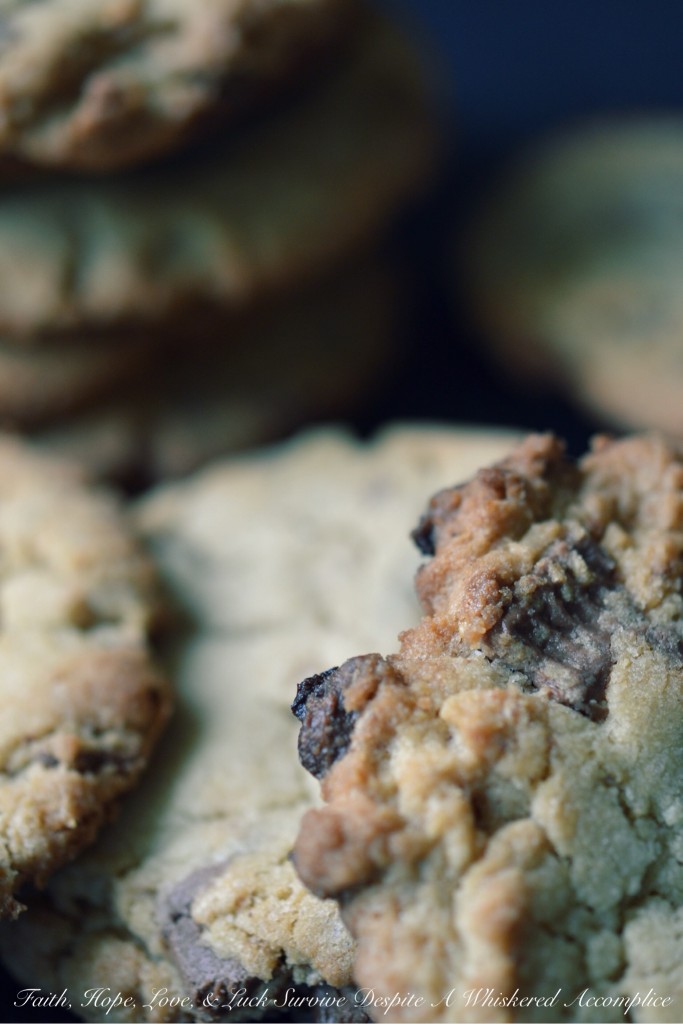 Jumbo Peanut Butter Cup Cookies | Faith, Hope, Love, and Luck Survive Despite a Whiskered Accomplice