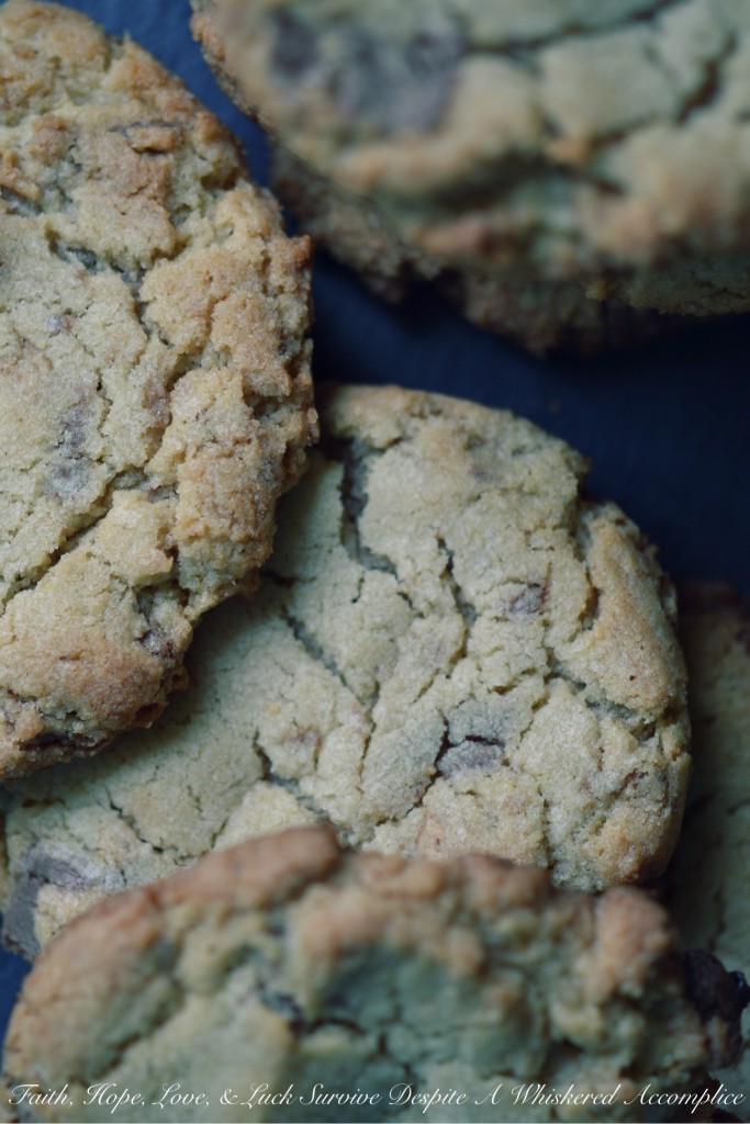 Jumbo Peanut Butter Cup Cookies | Faith, Hope, Love, and Luck Survive Despite a Whiskered Accomplice