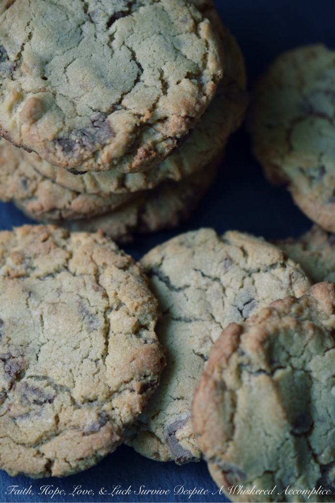 Jumbo Peanut Butter Cup Cookies | Faith, Hope, Love, and Luck Survive Despite a Whiskered Accomplice