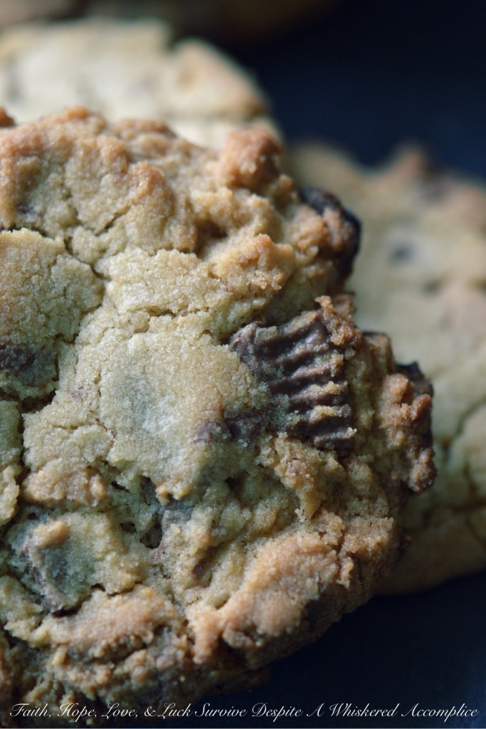Jumbo Peanut Butter Cup Cookies | Faith, Hope, Love, and Luck Survive Despite a Whiskered Accomplice