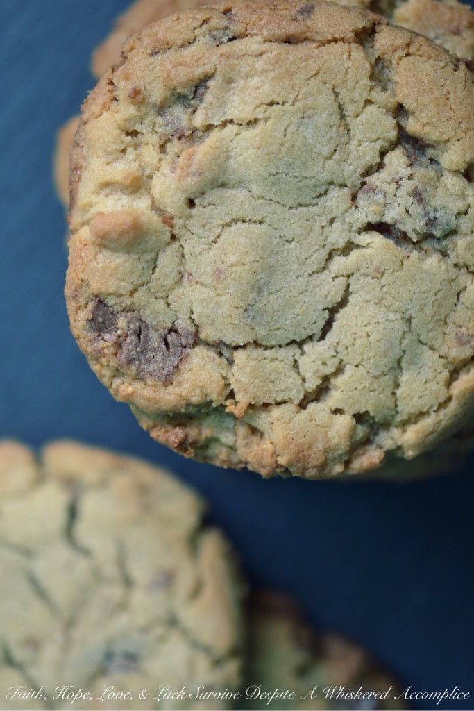 Jumbo Peanut Butter Cup Cookies | Faith, Hope, Love, and Luck Survive Despite a Whiskered Accomplice