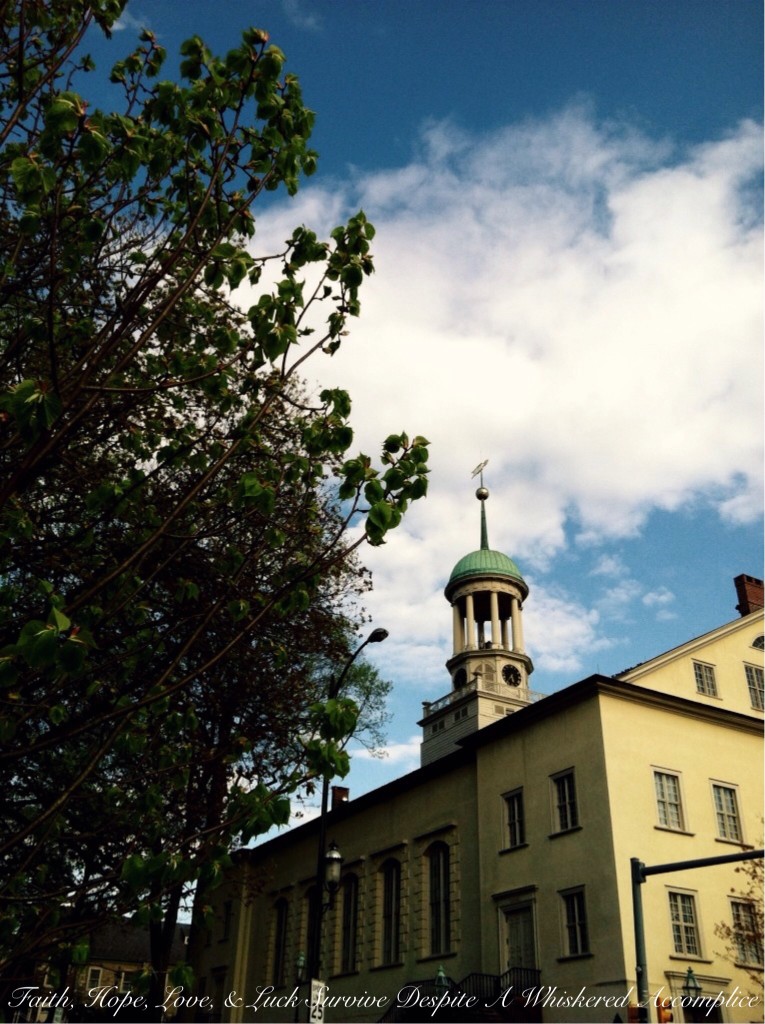 The Thursday - Oops I Mean Wednesday Thirteen - 05/07/2014 | Faith, Hope, Love, and Luck Survive Despite a Whiskered Accomplice