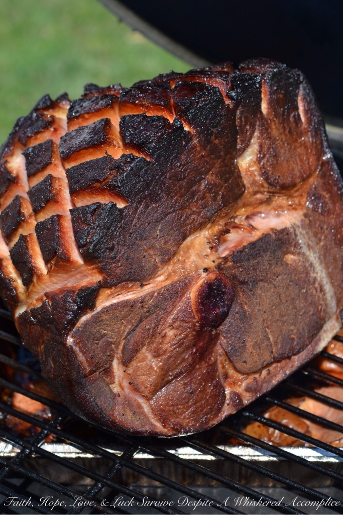 BBQ Ham | Faith, Hope, Love, and Luck Survive Despite a Whiskered Accomplice