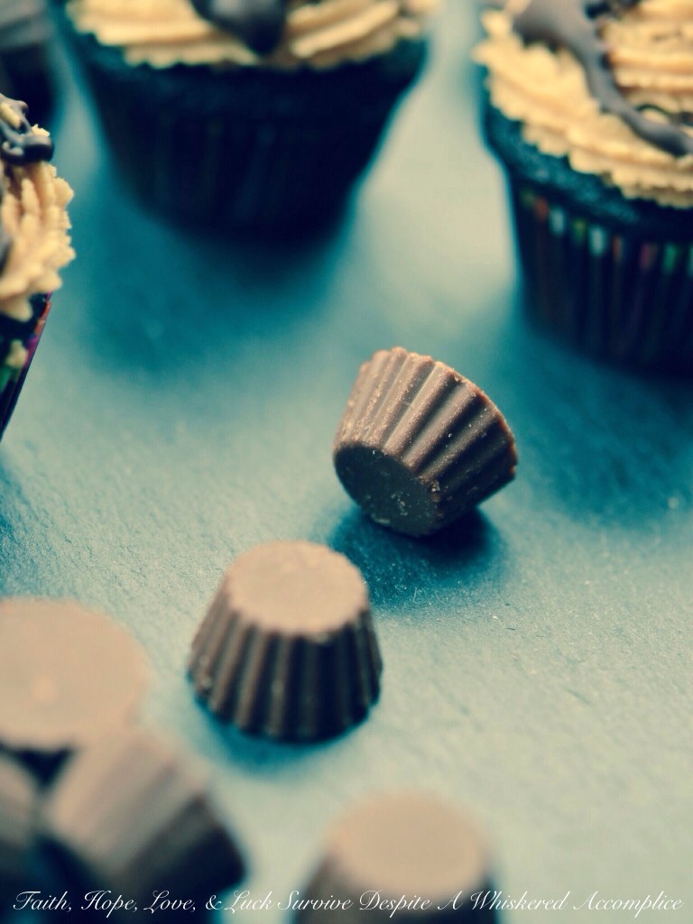 Reese's Minis Cupcakes | Faith, Hope, Love, and Luck Survive Despite a Whiskered Accomplice