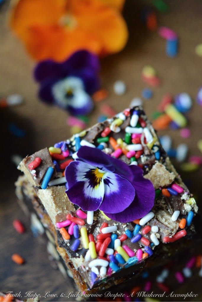 Reese's Birthday Sprinkle Brownie Cheesecake Bars | Faith, Hope, Love, and Luck Survive Despite a Whiskered Accomplice