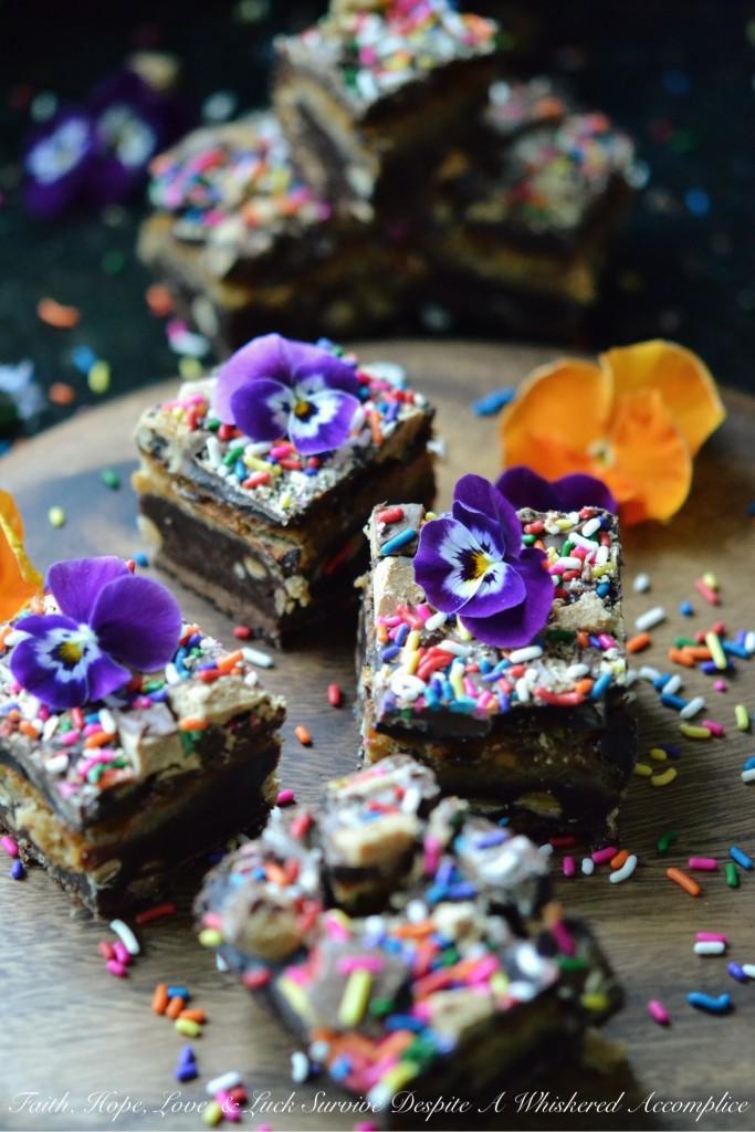 Reese's Birthday Sprinkle Brownie Cheesecake Bars | Faith, Hope, Love, and Luck Survive Despite a Whiskered Accomplice