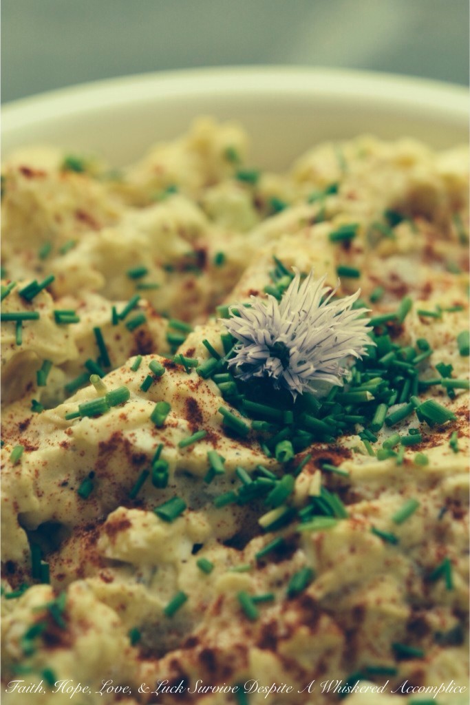 Deviled Egg Potato Salad | Faith, Hope, Love, and Luck Survive Despite a Whiskered Accomplice