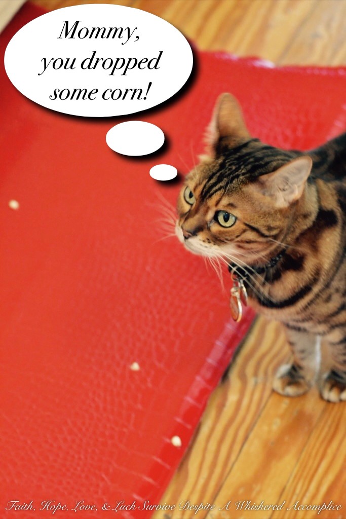 Smoky Creamed Corn with Bacon & Scallions | Faith, Hope, Love, and Luck Survive Despite a Whiskered Accomplice