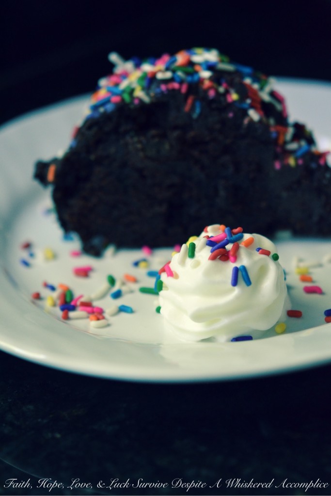 Irish Butter Chocolate Sprinkle Cake with Ganache | Faith, Hope, Love, and Luck Survive Despite a Whiskered Accomplice