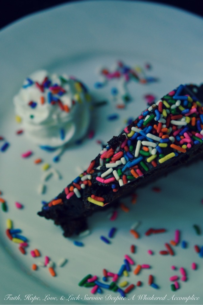 Irish Butter Chocolate Sprinkle Cake with Ganache | Faith, Hope, Love, and Luck Survive Despite a Whiskered Accomplice