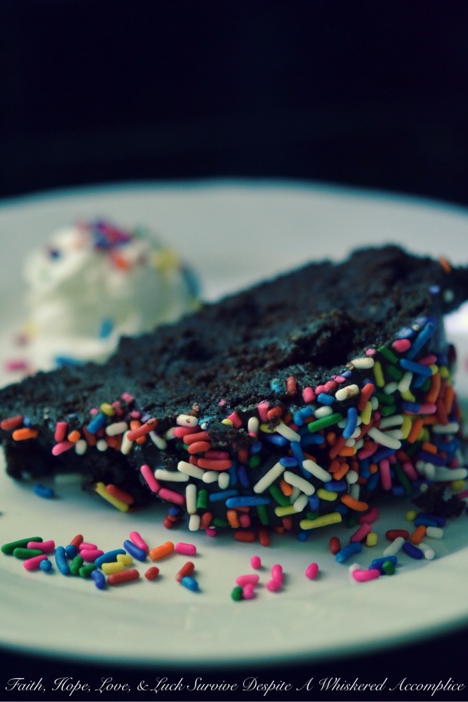 Irish Butter Chocolate Sprinkle Cake with Ganache | Faith, Hope, Love, and Luck Survive Despite a Whiskered Accomplice