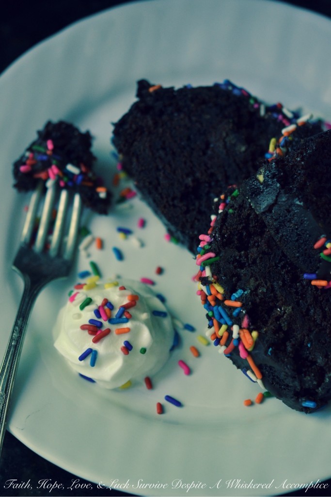 Irish Butter Chocolate Sprinkle Cake with Ganache | Faith, Hope, Love, and Luck Survive Despite a Whiskered Accomplice