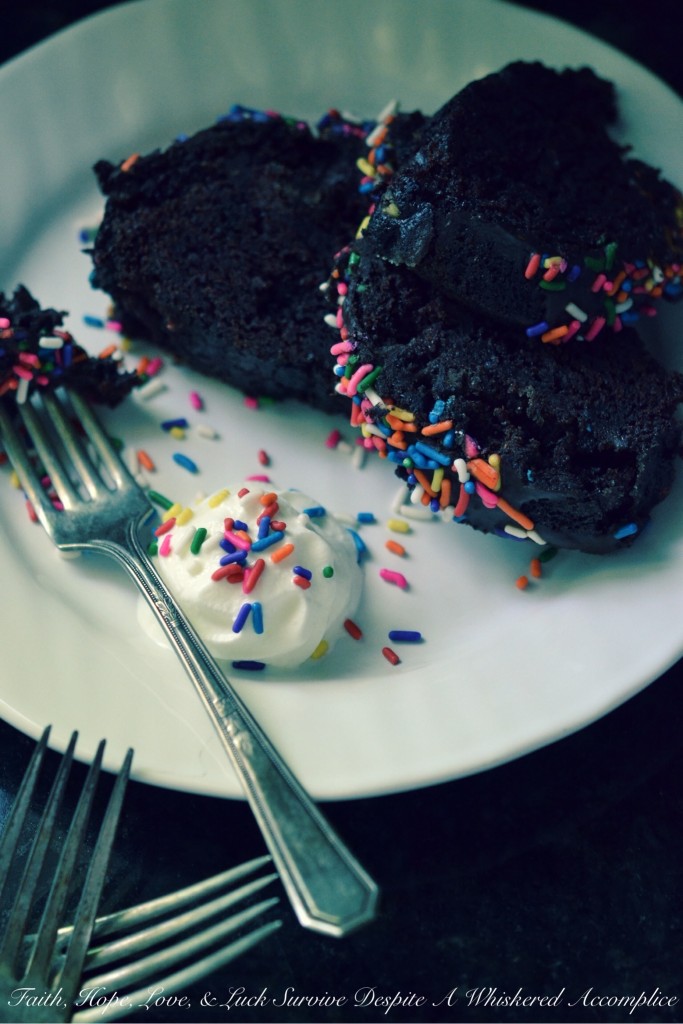 Irish Butter Chocolate Sprinkle Cake with Ganache | Faith, Hope, Love, and Luck Survive Despite a Whiskered Accomplice