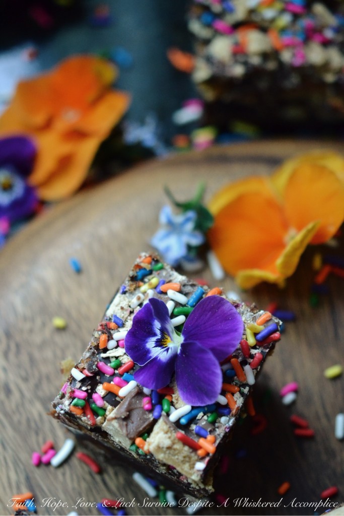 Reese's Birthday Sprinkle Brownie Cheesecake Bars | Faith, Hope, Love, and Luck Survive Despite a Whiskered Accomplice