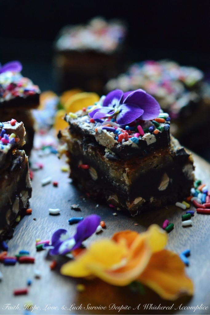 Reese's Birthday Sprinkle Brownie Cheesecake Bars | Faith, Hope, Love, and Luck Survive Despite a Whiskered Accomplice