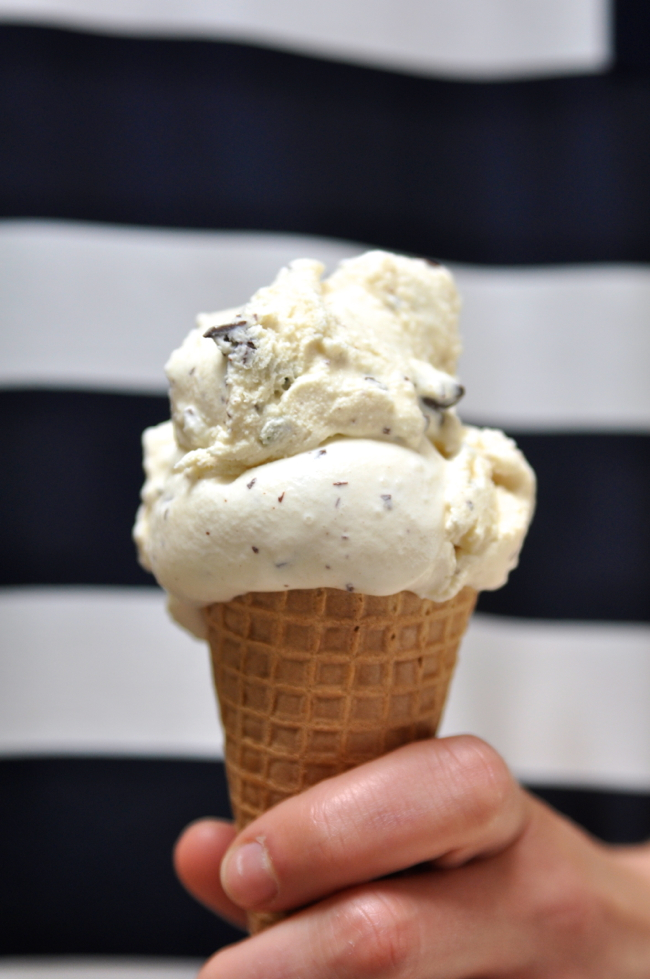Mint Chocolate Chip Ice Cream | Faith, Hope, Love, and Luck Survive Despite a Whiskered Accomplice