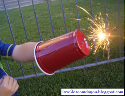 Sparkler Shield | Faith, Hope, Love, and Luck Survive Despite a Whiskered Accomplice