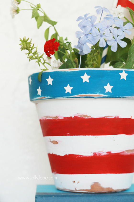 Stars and Stripes Patriotic Flower Pot | Faith, Hope, Love, and Luck Survive Despite a Whiskered Accomplice
